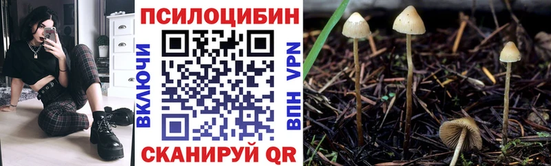 Псилоцибиновые грибы ЛСД  закладка  Татарск 